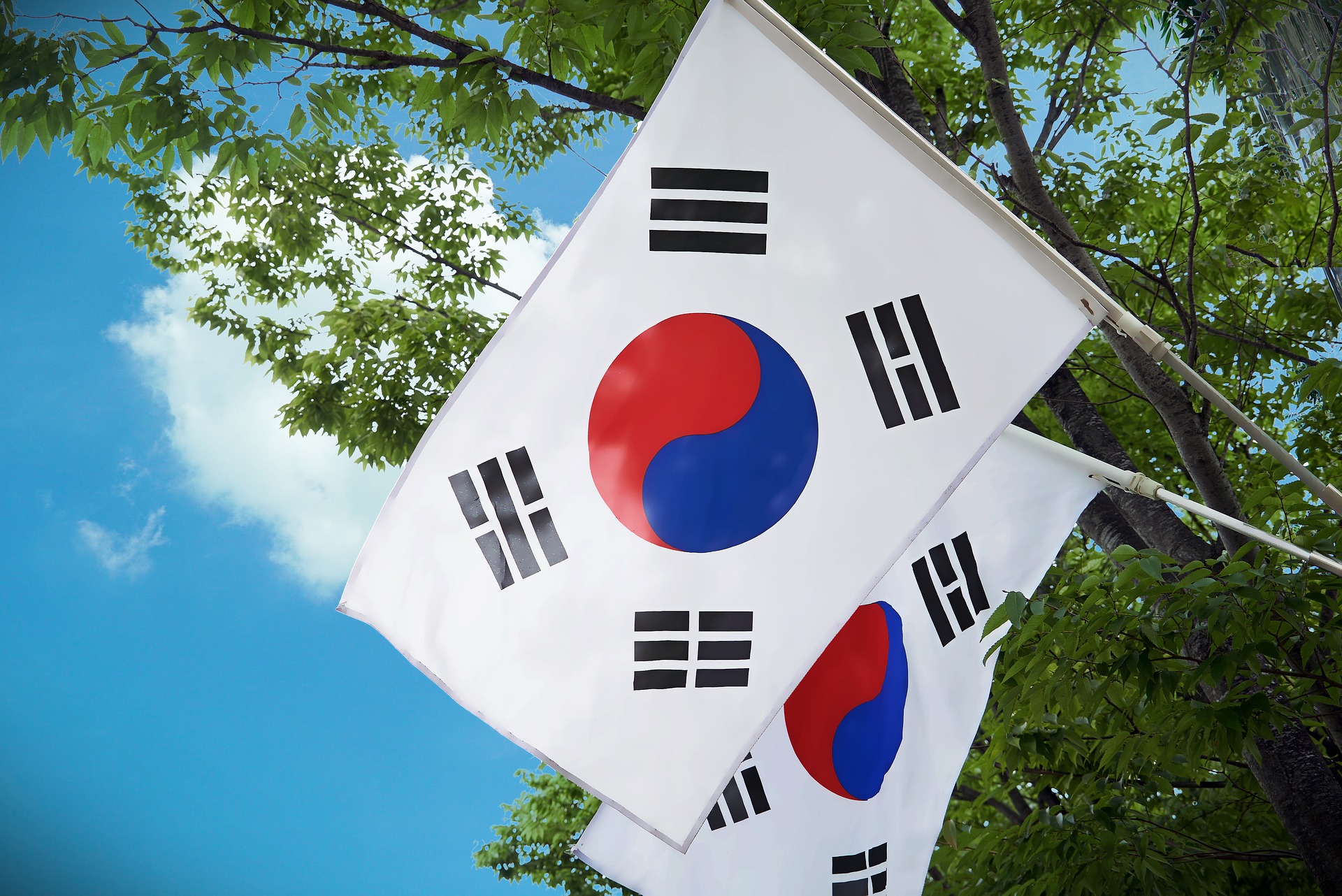 南韓棄享WTO開發中國家優惠 經濟部：對台有利 | 芋傳媒 TaroNe