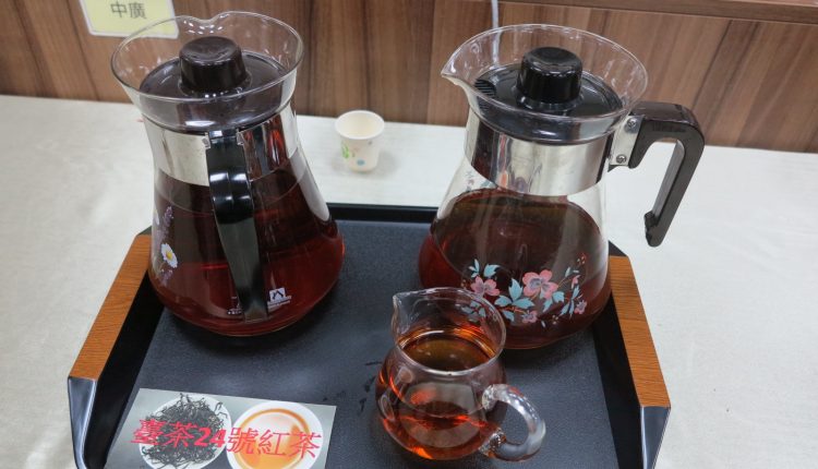 這杯很純 品嚐冰河時期孓遺植物 台茶24號 台灣第一杯本土原生茶 芋傳媒taronews